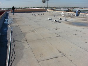 spray-foam-roofing-and-coatings-39
